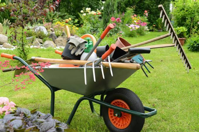 Carriola con attrezzi da giardinaggio in giardino